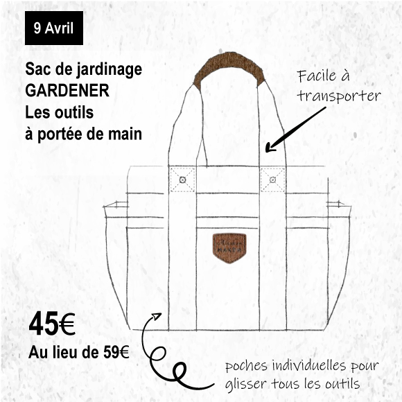 lunette-bois